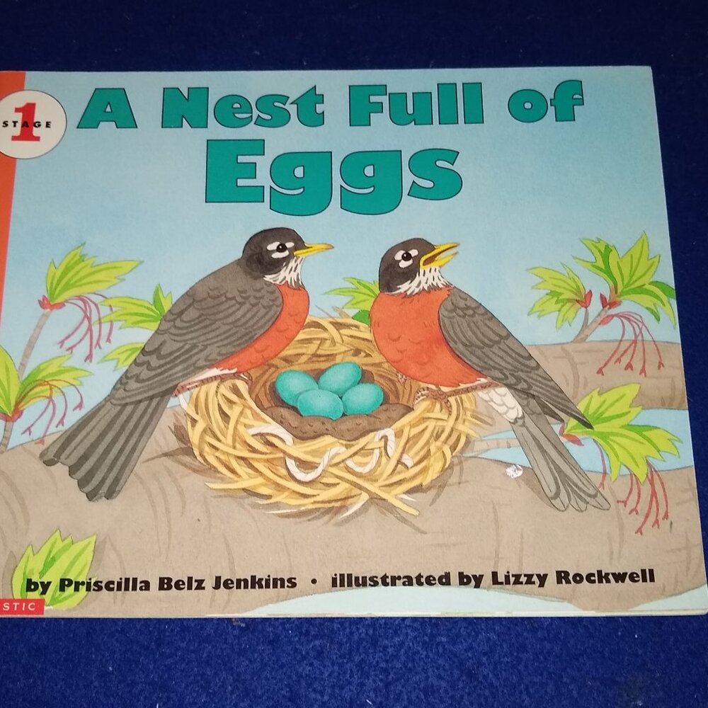 A Nest Full of Eggs by Priscilla Beiz Jenkins New Paperback